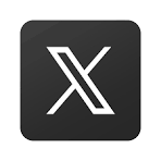 X Icon